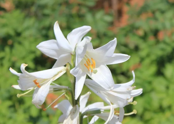 With A Parking Space - 7984 * Cres