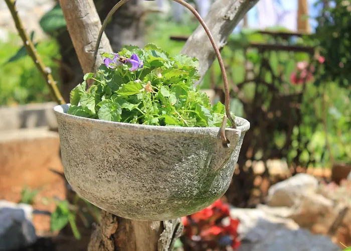 With A Parking Space - 7984 Cres