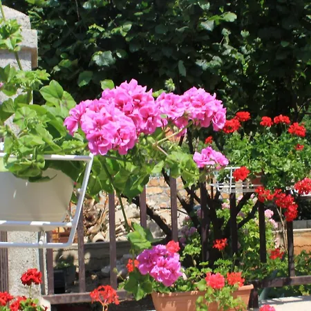 Διαμέρισμα With A Parking Space - 7984