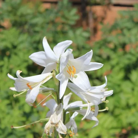 With A Parking Space - 7984 * Cres