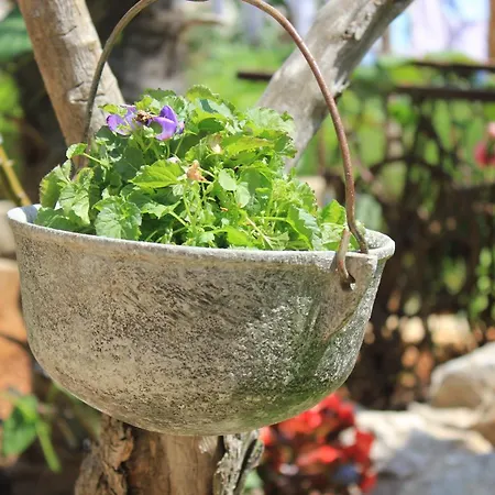 With A Parking Space - 7984 茨雷斯