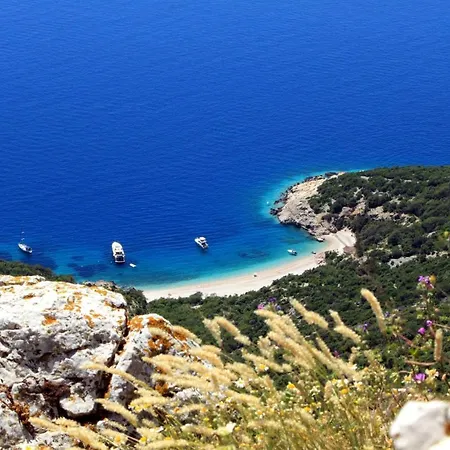 With A Parking Space - 7984 * 크레스