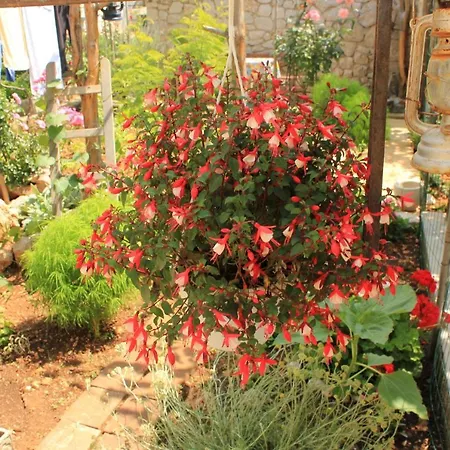 With A Parking Space - 7984 * 크레스